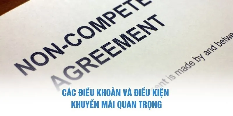 Các điều khoản và điều kiện khuyến mãi quan trọng ở C168