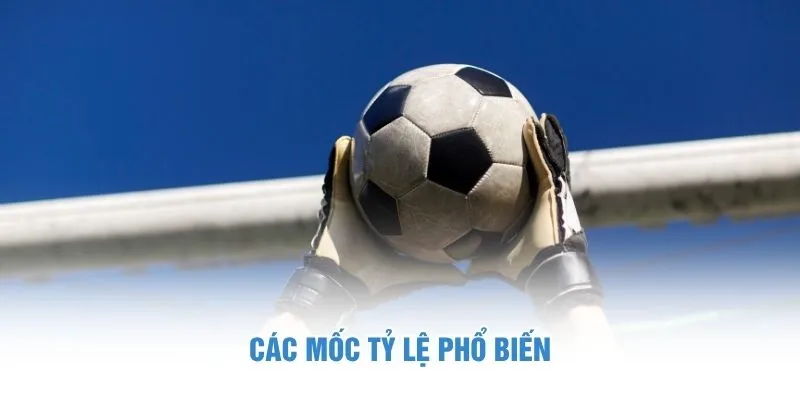 Các mốc tỷ lệ phổ biến