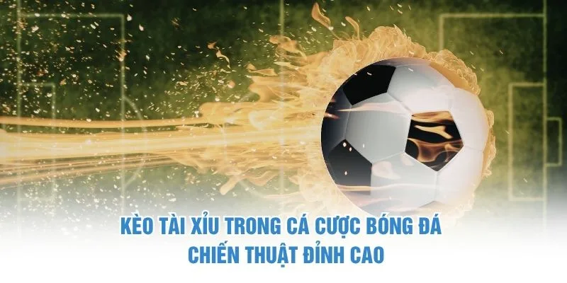 Kèo Tài Xỉu Trong Cá Cược Bóng Đá - Chiến Thuật Đỉnh Cao