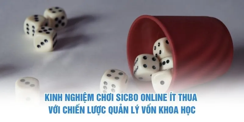 Kinh nghiệm chơi Sicbo online ít thua với chiến lược quản lý vốn khoa học