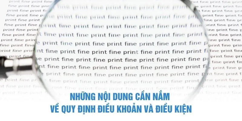 Những nội dung cần nắm về quy định điều khoản và điều kiện