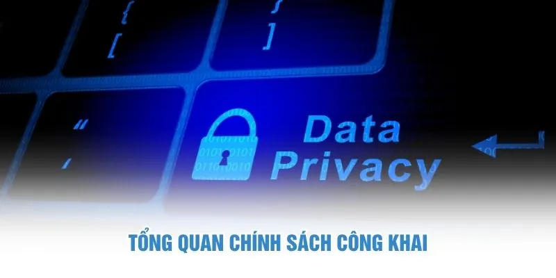 Tổng quan chính sách công khai