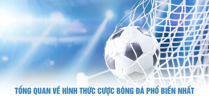 Tổng quan về hình thức cược bóng đá phổ biến nhất